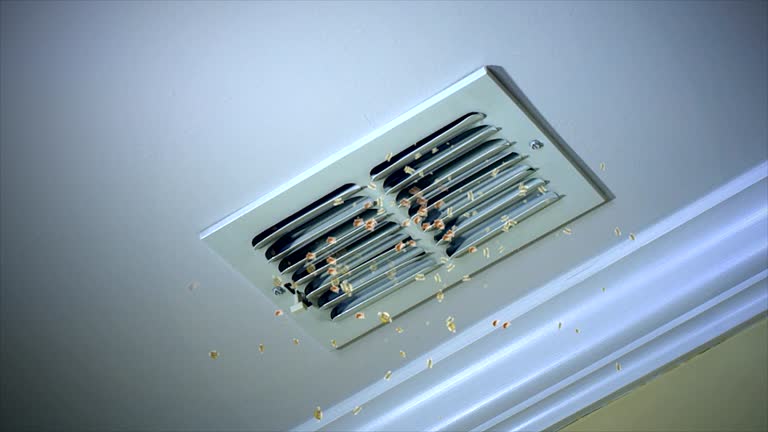 Ductwork Cleaning Services in Ray City, GA
