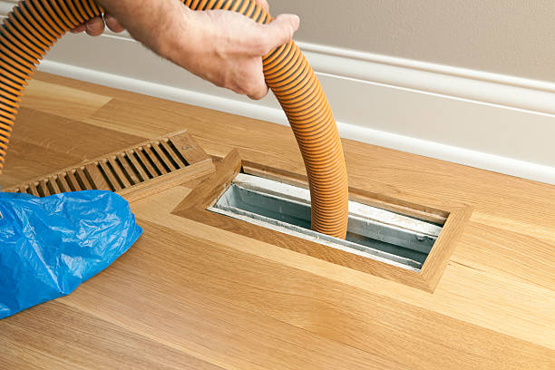 Best Local Air Duct Cleaning Services  in Ray City, GA